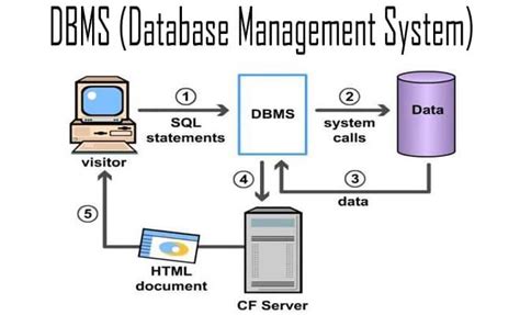 dbms co to.